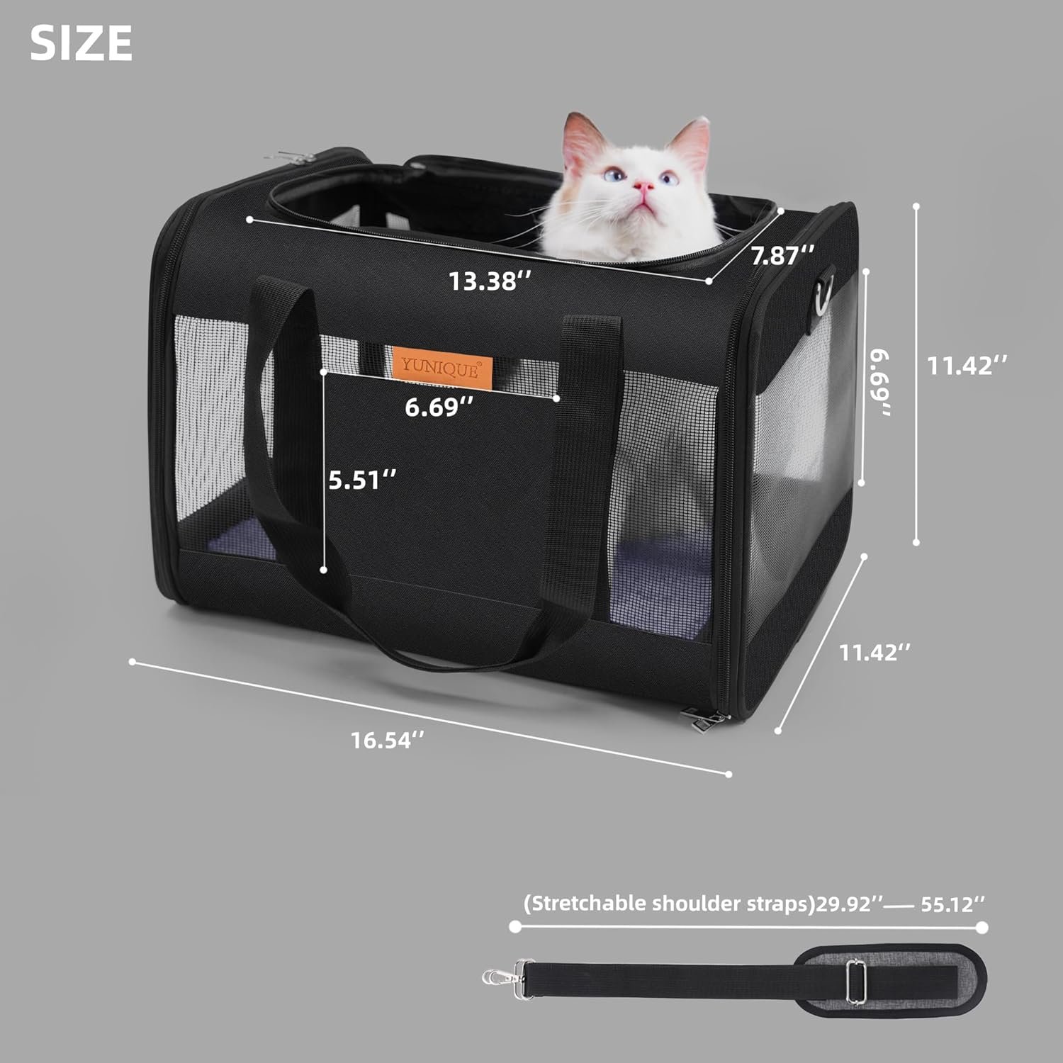 71p8wK36HFL._AC_SL1500_.jpg